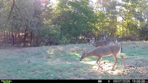 0 Corinth Rd, Ash Flat, AR 72513 photo 3
