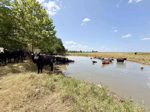 0 Corinth Rd, Ash Flat, AR 72513 photo 11