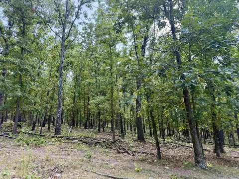 0 Corinth Rd, Ash Flat, AR 72513 photo 17