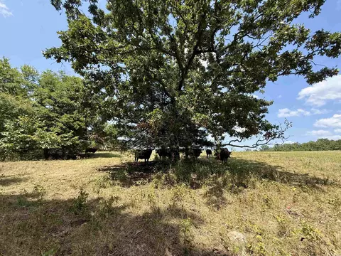 0 Corinth Rd, Ash Flat, AR 72513 photo 2
