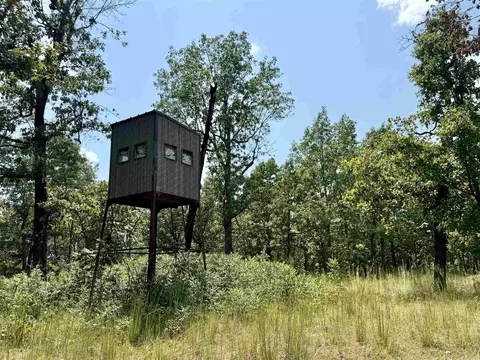 0 Corinth Rd, Ash Flat, AR 72513 photo 5