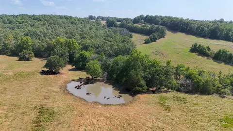 0 Corinth Rd, Ash Flat, AR 72513 photo 6