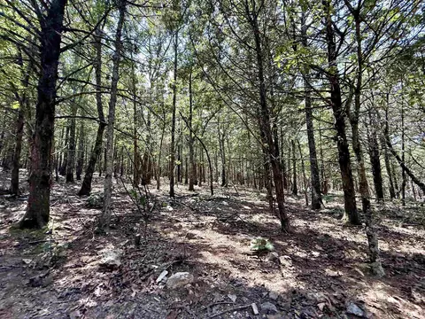0 Corinth Rd, Ash Flat, AR 72513 photo 9