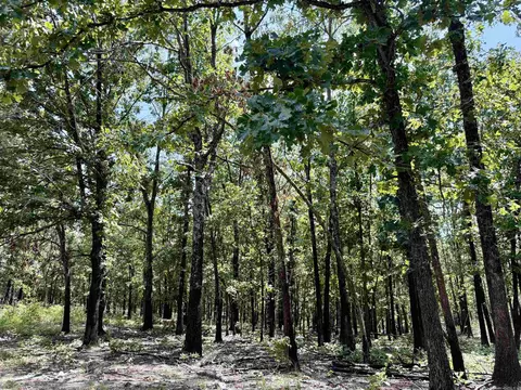 0 Corinth Rd, Ash Flat, AR 72513 photo 16