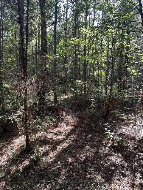 tbd Hempstead 14, Washington, AR 71862 photo 8