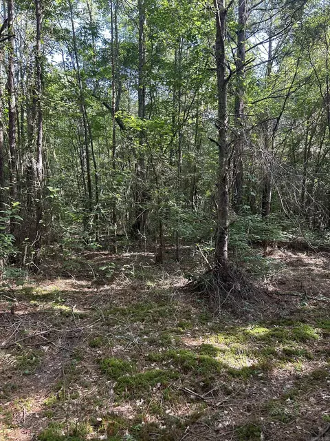 tbd Hempstead 14, Washington, AR 71862 photo 7