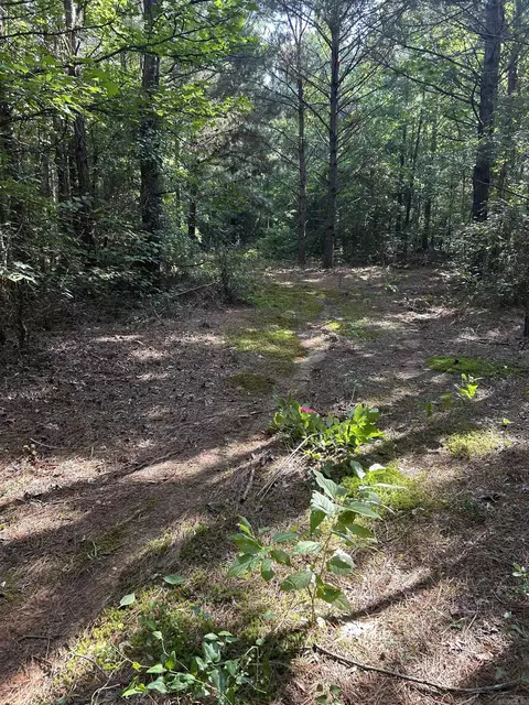 tbd Hempstead 14, Washington, AR 71862 photo 6