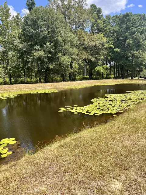 View/Area - 8219 Us Hwy 63 Hwy, Pine Bluff, AR 71603 photo 2 of 2