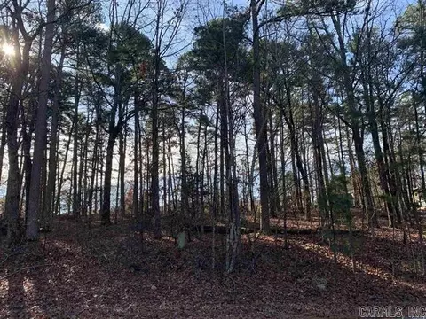 27 Alicante Rd, Hot Springs Village, AR 71909