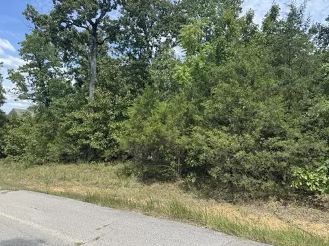 tbd Morgan Trl, Salem, AR 72576 photo 6