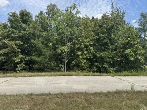 tbd Morgan Trl, Salem, AR 72576 photo 3