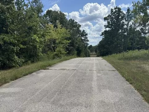 tbd Morgan Trl, Salem, AR 72576 photo 4