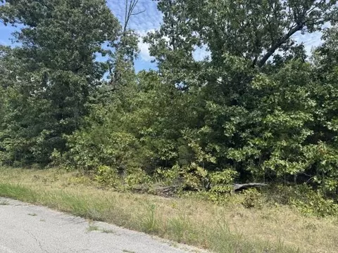 tbd Morgan Trl, Salem, AR 72576 photo 5