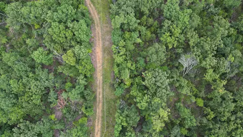 0 Jumbo Rd, Melbourne, AR 72556 photo 33
