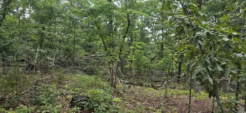 0 Jumbo Rd, Melbourne, AR 72556 photo 14