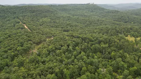 0 Jumbo Rd, Melbourne, AR 72556 photo 32