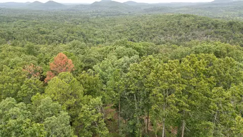 0 Jumbo Rd, Melbourne, AR 72556 photo 39