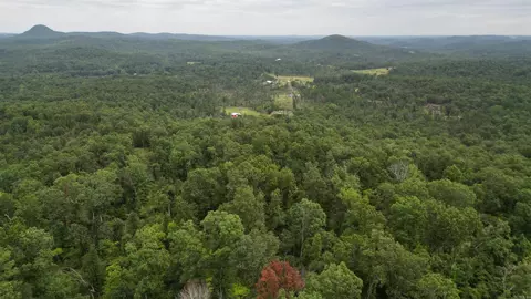 0 Jumbo Rd, Melbourne, AR 72556 photo 20