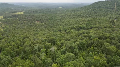0 Jumbo Rd, Melbourne, AR 72556 photo 21
