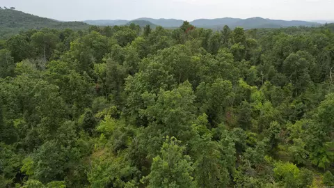 0 Jumbo Rd, Melbourne, AR 72556 photo 36