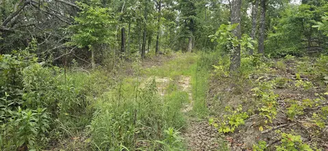 0 Jumbo Rd, Melbourne, AR 72556 photo 7