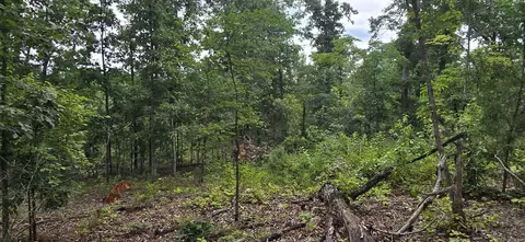 0 Jumbo Rd, Melbourne, AR 72556 photo 13