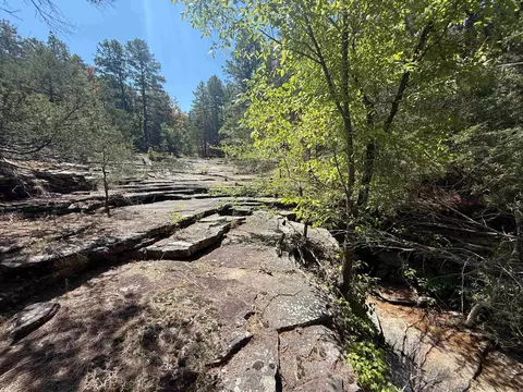 0 Jumbo Rd, Melbourne, AR 72556 photo 6