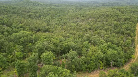 0 Jumbo Rd, Melbourne, AR 72556 photo 35