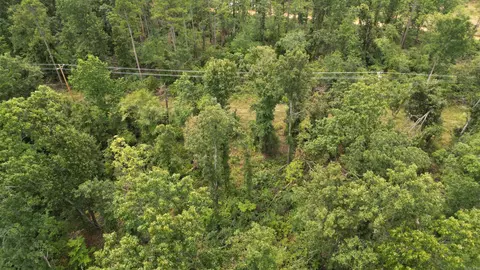 0 Jumbo Rd, Melbourne, AR 72556 photo 38