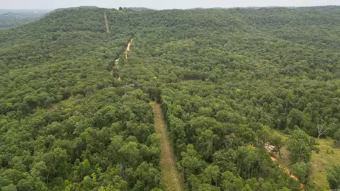 0 Jumbo Rd, Melbourne, AR 72556 photo 22