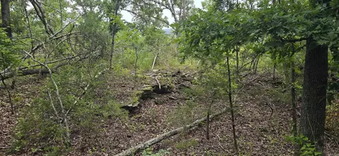 0 Jumbo Rd, Melbourne, AR 72556 photo 16