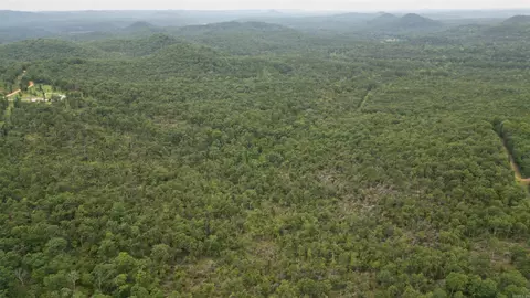 0 Jumbo Rd, Melbourne, AR 72556 photo 30