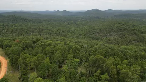 0 Jumbo Rd, Melbourne, AR 72556 photo 19