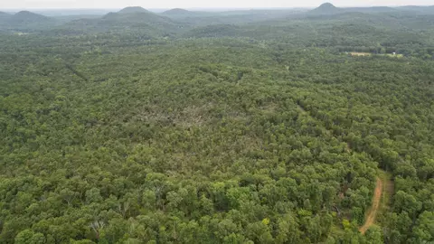 0 Jumbo Rd, Melbourne, AR 72556 photo 24