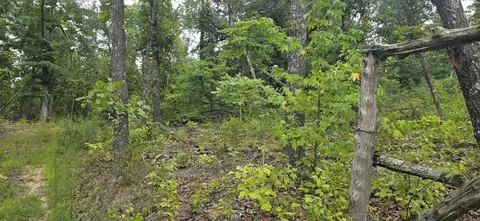 0 Jumbo Rd, Melbourne, AR 72556 photo 9