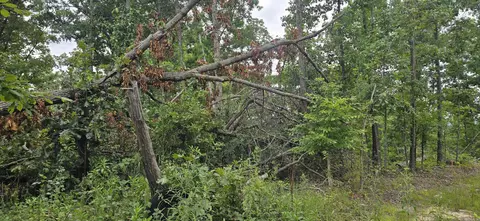 0 Jumbo Rd, Melbourne, AR 72556 photo 8
