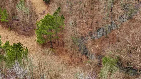 lot48 Highway 79 S, Pine Bluff, AR 71603 photo 9