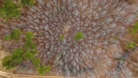 lot48 Highway 79 S, Pine Bluff, AR 71603 photo 4