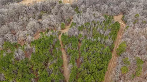 lot48 Highway 79 S, Pine Bluff, AR 71603 photo 16