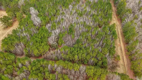 lot48 Highway 79 S, Pine Bluff, AR 71603 photo 3