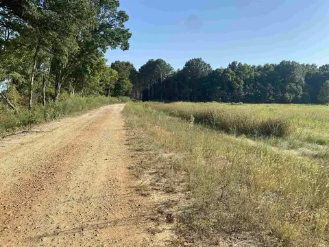 13 Mcguiness Rd, Trumann, AR 72472 photo 2