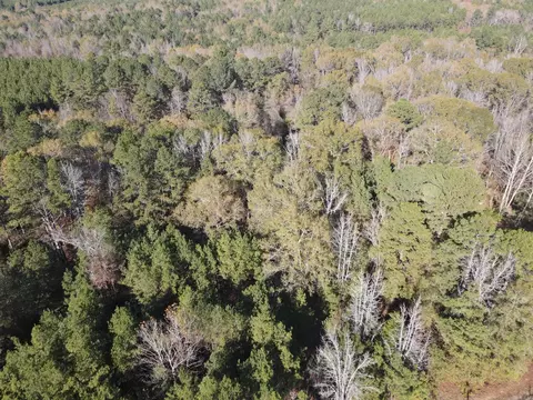 000 Hwy 82, Strong, AR 71765 photo 19