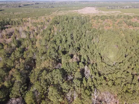 000 Hwy 82, Strong, AR 71765 photo 5