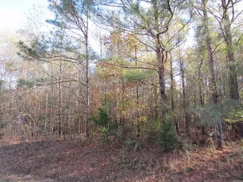 000 Hwy 82, Strong, AR 71765 photo 25