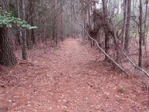 000 Lapile Rd, Strong, AR 71765 photo 38