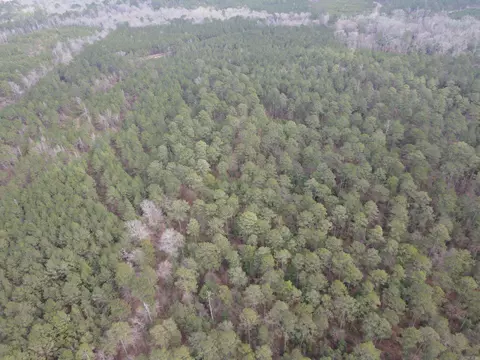 000 Lapile Rd, Strong, AR 71765 photo 11