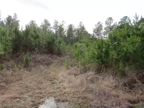 000 Lapile Rd, Strong, AR 71765 photo 40