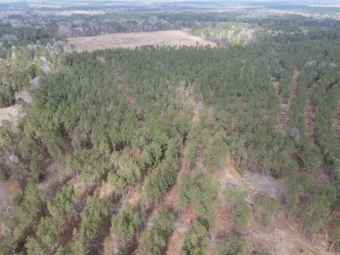 000 Lapile Rd, Strong, AR 71765 photo 6