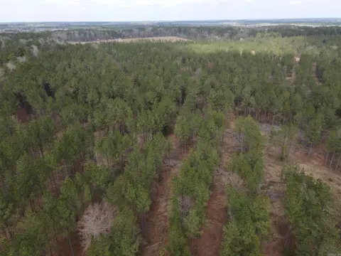 000 Lapile Rd, Strong, AR 71765 photo 3