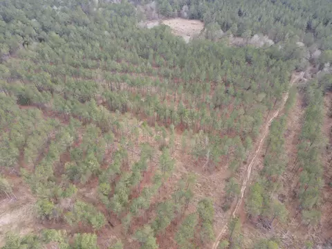 000 Lapile Rd, Strong, AR 71765 photo 8